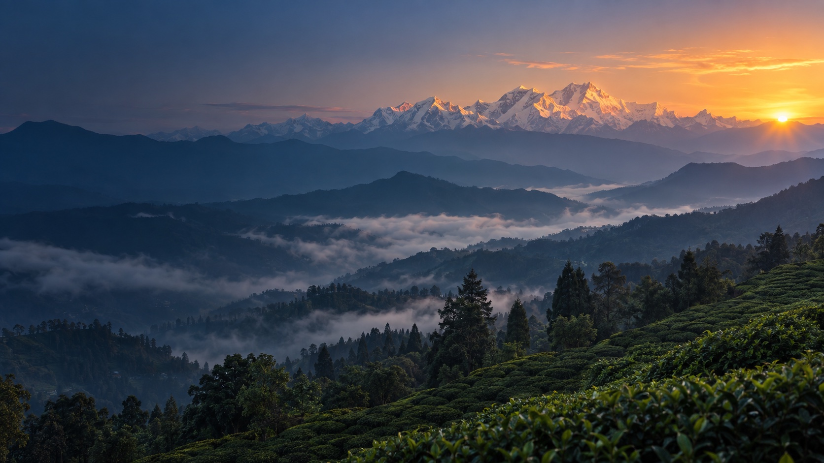 Kangchenjunga at sunrise above the tea-covered Darjeeling hills